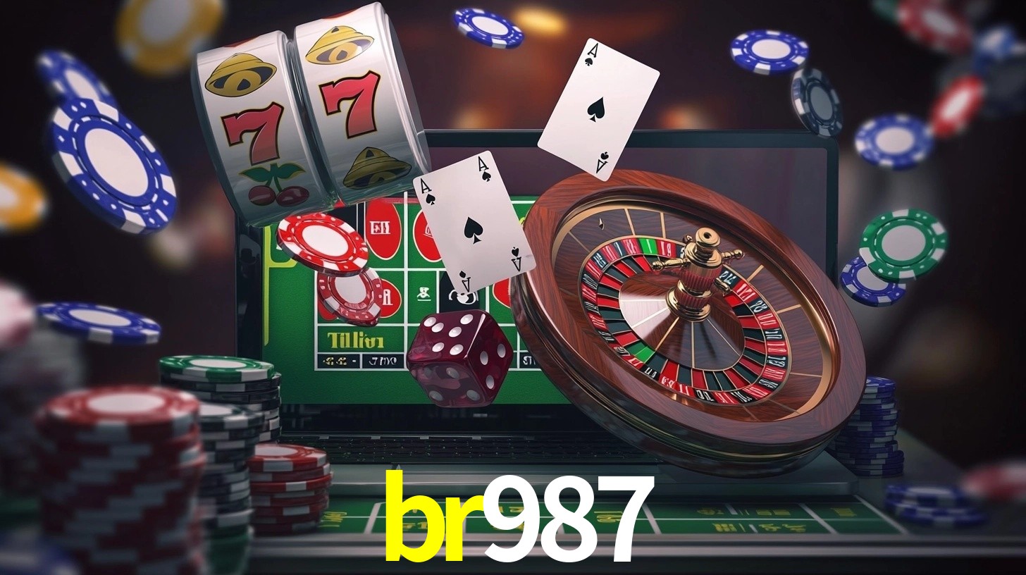 Premium Interface br987